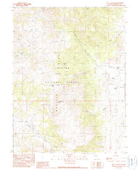Well Canyon 1990 topographic map thumbnail