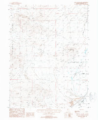 West of Lovelock 1987 topographic map thumbnail
