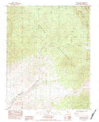 Wheeler Well 1984 topographic map thumbnail