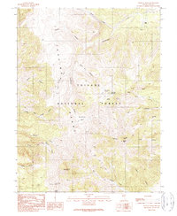 Wildcat Peak 1989 topographic map thumbnail