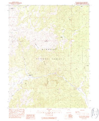 Willow Grove 1990 topographic map thumbnail