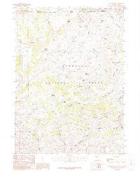 Winter Ridge 1986 topographic map thumbnail