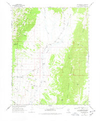 Fish Springs 1968 topographic map thumbnail