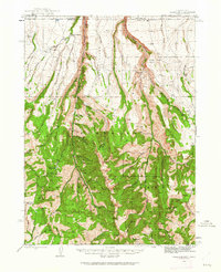 Jarbidge 1943 topographic map thumbnail