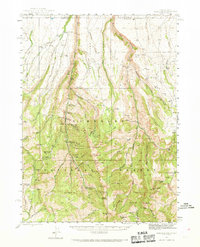 Jarbidge 1943 topographic map thumbnail