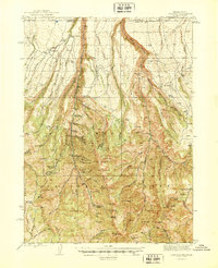 Jarbidge 1945 topographic map thumbnail
