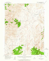 Mount Callaghan 1956 topographic map preview