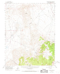 Rhyolite Ridge 1963 topographic map thumbnail