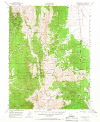 Treasure Hill 1949 topographic map thumbnail