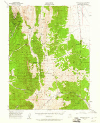 Treasure Hill 1949 topographic map thumbnail