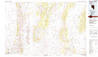 Newark Lake 1985 topographic map thumbnail
