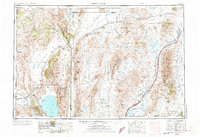 Lovelock 1955 topographic map thumbnail