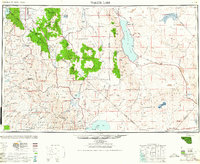 Walker Lake 1962 topographic map preview