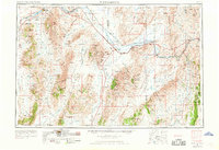 Winnemucca 1955 topographic map thumbnail