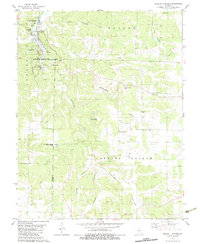 Bennett Springs 1982 topographic map thumbnail
