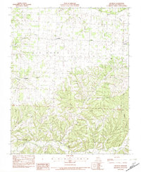 Bethpage 1982 topographic map thumbnail