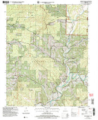 Bradleyville 2004 topographic map thumbnail