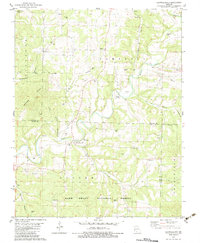 Brownbranch 1982 topographic map thumbnail