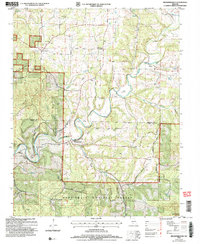 Brownbranch 2004 topographic map thumbnail
