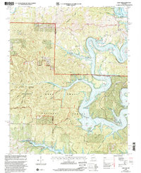 Cape Fair 1999 topographic map thumbnail