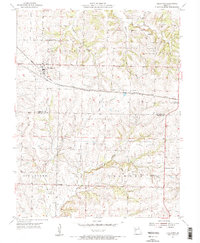 Chilhowee 1955 topographic map thumbnail