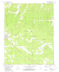 Ellsinore 1980 topographic map thumbnail
