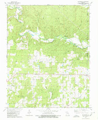 Flatwoods 1979 topographic map thumbnail