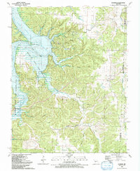 Iconium 1991 topographic map thumbnail