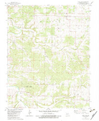 Long Lane 1982 topographic map thumbnail