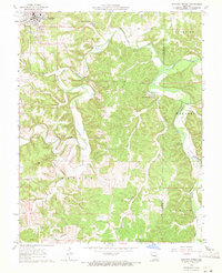 Maramec Spring 1963 topographic map thumbnail