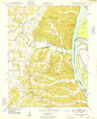 Neelys Landing 1948 topographic map thumbnail