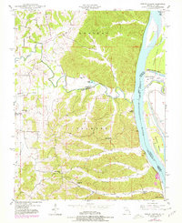 Neelys Landing 1948 topographic map thumbnail