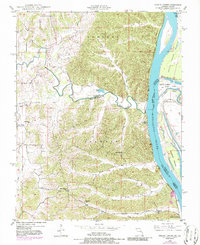 Neelys Landing 1948 topographic map thumbnail