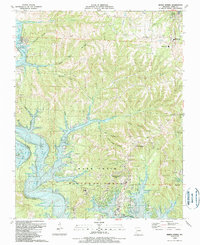 Reeds Spring 1989 topographic map thumbnail