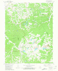 Richwoods 1981 topographic map thumbnail