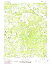 Spring Bluff 1966 topographic map thumbnail