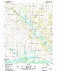 Taberville 1991 topographic map thumbnail
