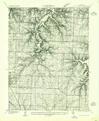 Woods Chapel 1934 topographic map thumbnail