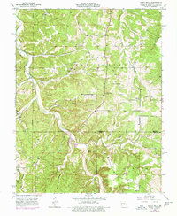 Yancy Mills 1950 topographic map preview