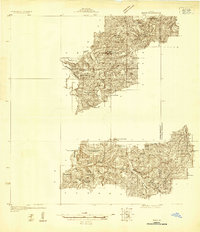Manes 1931 topographic map preview