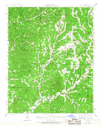 Bradleyville 1943 topographic map thumbnail