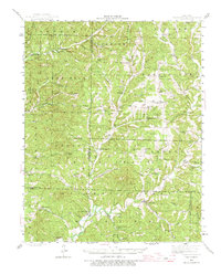 Bradleyville 1943 topographic map thumbnail
