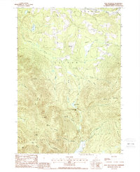 Blue Mountain 1988 topographic map thumbnail