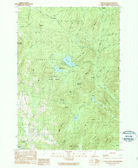 Diamond Pond 1989 topographic map thumbnail
