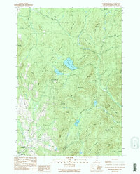 Diamond Pond 1989 topographic map thumbnail