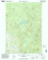 Diamond Pond 1996 topographic map thumbnail
