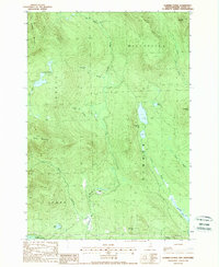 Dummer Ponds 1988 topographic map thumbnail