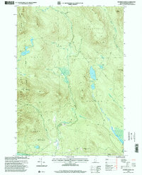 Dummer Ponds 1996 topographic map thumbnail