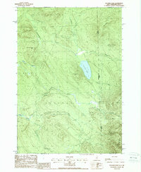 Success Pond 1988 topographic map thumbnail