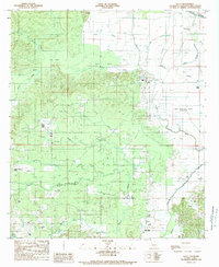 Allen 1989 topographic map thumbnail